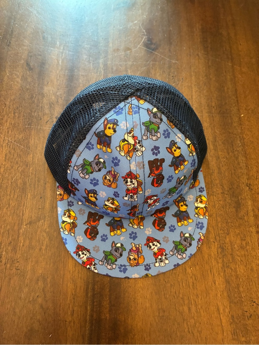 George Hats Paw Patrol Trucker Hat Boys Child Size 2-4Y Blue Kids